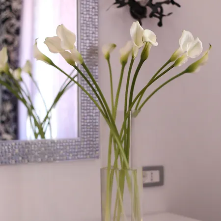 Starlight Luxury Split