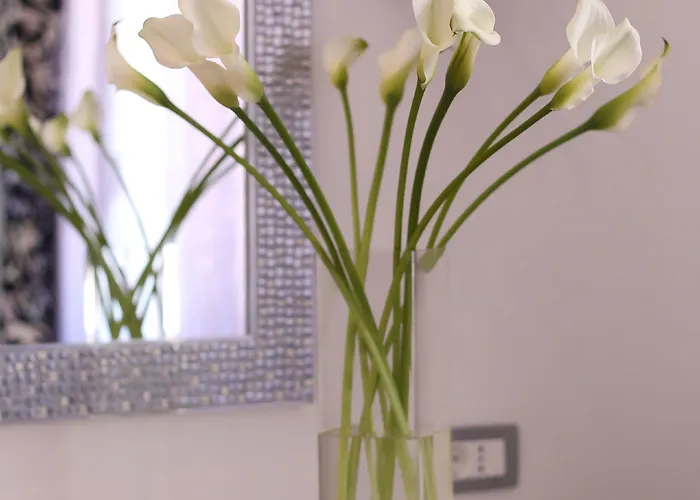 Starlight Luxury Split