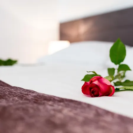 Starlight Luxury בית הארחה