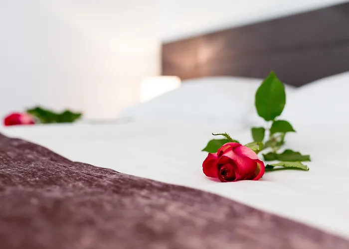 Starlight Luxury Guest house